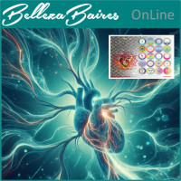 Curso Online de Mesa Radiónica para la Vitalidad del Sistema Circulatorio Curso Online de Mesa Radiónica para la Vitalidad del Sistema Circulatorio