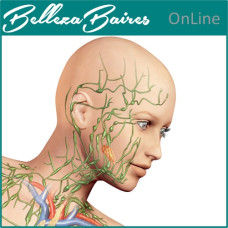 Curso Online de Drenaje Linfático Facial y Reflexología: Armonía Integral