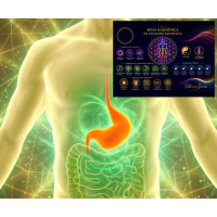 Curso Online de Mesa Radiónica para el Equilibrio Digestivo y Estomacal Curso Online de Mesa Radiónica para el Equilibrio Digestivo y Estomacal