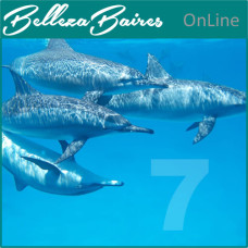 Curso Online de Masaje Atlante para la Relajación Profunda y el Equilibrio Energético