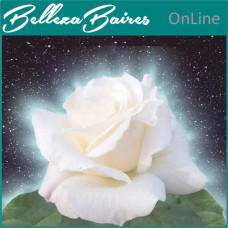 Terapia Holística con Rosas: Sanación Energética y Equilibrio Emocional