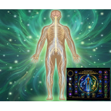 Curso Online de Mesa Radiónica para la Regeneración del Sistema Nervioso y la Neuropatía Periférica