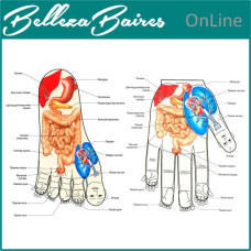 Curso Online de Su Jok: Terapia Coreana para la Sanación Holística