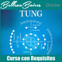 Curso Online Avanzado de Maestría en Auriculoterapia Tung