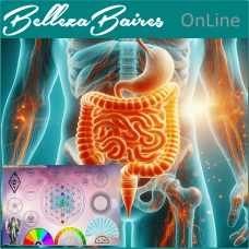 Curso Online de Radiónica para la Sanación Intestinal Holística