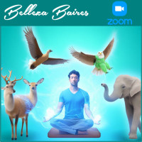 Taller Online de Animales de Poder: Nivel Iniciación